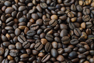 Medium roast robusta coffee beans