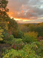 Fototapeta premium early autumn with trees clouds and sunset