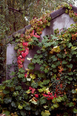 casa en otoño