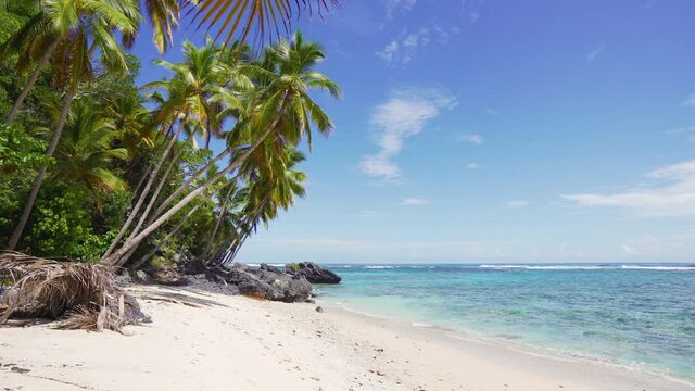Palm trees on the white sand of a tropical beach with sea waves. Rocky coast of the sea peninsula in the Atlantic Ocean. Sunny summer day on exotic beach under blue sky.