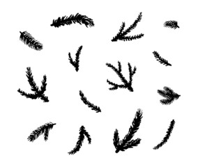 Collection of hand painted ink coniferous branches.