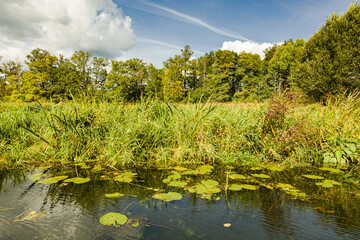Bootsfahrt  - Bootstour auf der Spree 