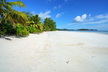 tropical beach at anse volbert on praslin on the seychelles