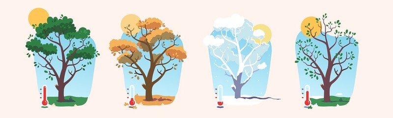 Summer, autumn, winter, spring tree weather set