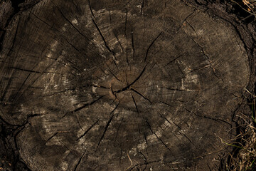 Aged wood texture, chips, cracks, nails in the surface, splinters, slats for construction, wooden canvases, beams with a relief, hollow, photophone for screensaver and printing