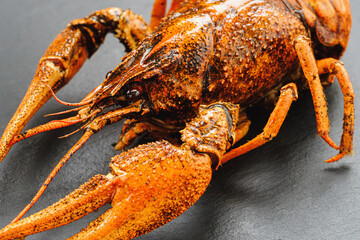 Boiled crayfish lies on a natural slate platter. Russian cuisine, Polish cuisine, Finnish cuisine, Greek cuisine