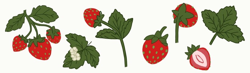 a set of berries and strawberry leaves in cartoon style. Print for printing on fabric, labels and for web pages.