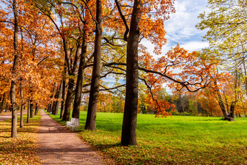 Oak alley in Catherine park in autumn, Tsarskoe Selo (Pushkin), Saint Petersburg, Russia