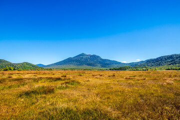 群馬県　秋の尾瀬ヶ原