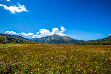 群馬県　秋の尾瀬ヶ原