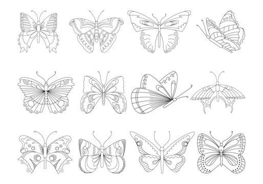 set of butterflies silhouettes isolated on white background in vector format very easy to edit, individual objects