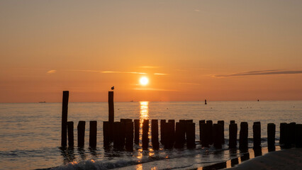 Fototapeta premium Sonnenuntergang 
