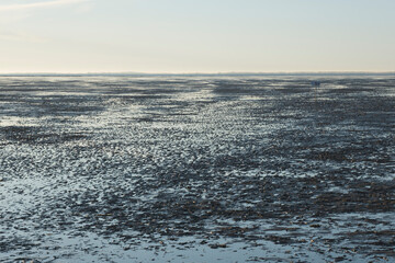 Ebbe im Nationalpark Niedersächsisches Wattenmeer, Ostfriesland, Niedersachsen, Deutschland, Europa