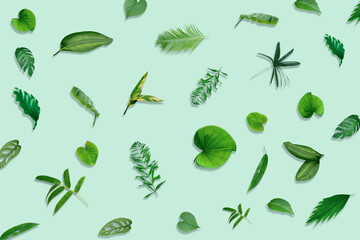 Creative layout made of tropic monstera leaves on pastel background. Minimal summer exotic concept with copy space. Tropical background.