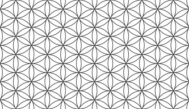 Flower of Life - Endless Vector Background