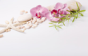 Spa background with stones and purple orchid on white
