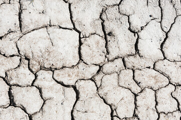 Cracked texture of dry soil