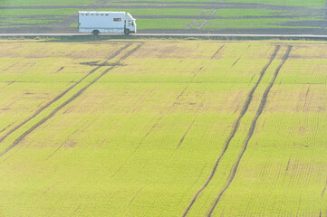 Horse lorry and car drives beside green agriculture fields