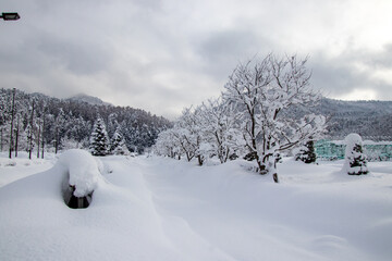 雪国の景色　除雪された道