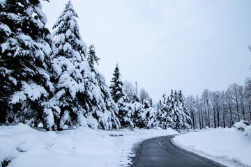 雪国の景色　除雪された道