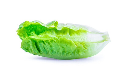 fresh baby cos (lettuce) on white background