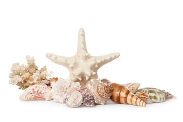 Beautiful starfish, coral and sea shells on white background