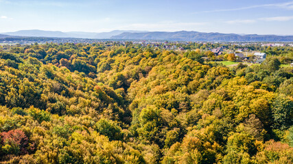 Aerial top view on autumn forest trees in the Carpathians.