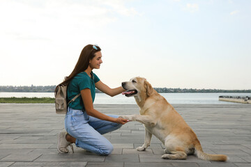 Cute golden retriever dog giving paw to young woman on pier