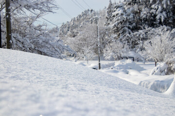 綺麗に光る雪の結晶