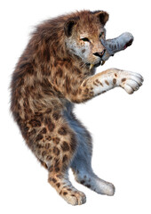 3D Rendering Sabertooth Tiger on White