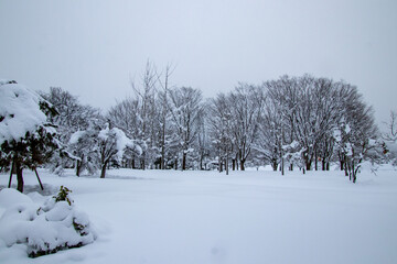真冬の雪景色