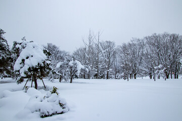 真冬の雪景色