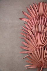 Dried pink tropical palm tree leaf boho style fashionable decoration on a concrete background