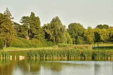 Fototapeta na wymiar Les feuillages des arbres au début de l'automne autour des étangs du parc de Tervuren à l'est de Bruxelles