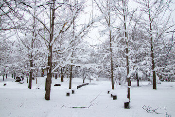 雪の中の一本道