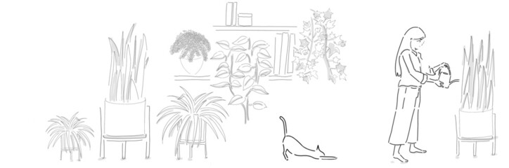 Vector drawings of a cafe or living room with a person watering a plant. - Cat, books, book shelf, pot, plants: snake plant, spider plant, pothos, fern, ivy 