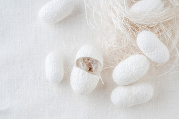 Fototapeta na wymiar white silkworm cocoons shells, source of silk fabric as a background