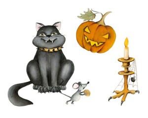 halloween cat and pumpkin