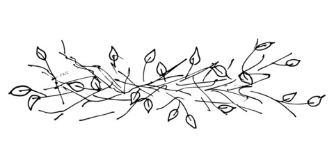 Botanical drawing. Vector hand drawn design element. Minimal plant logo, meadow greenery, leaf and blooming flower abstract sketch element, linear rustic branch. 
