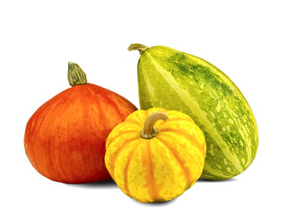 Three pumpkins. Orange, yellow and split decorative pumpkins for decoration. Autumn harvest. For decoration and decoration.