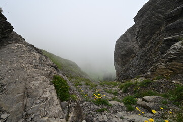 Mountain trail