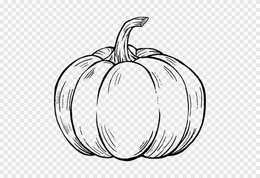 How to Draw a Pumpkin (three easy examples step by step) 🎃