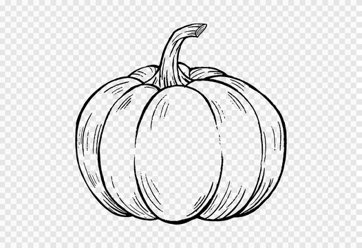 potted plants clipart black and white pumpkin