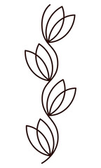 Flower Simple line floral element Outline doodle branch Black contour vector illustration Isolated on white background