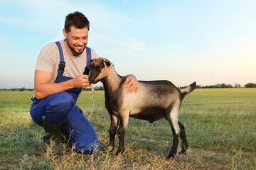Man with goat at farm. Animal husbandry