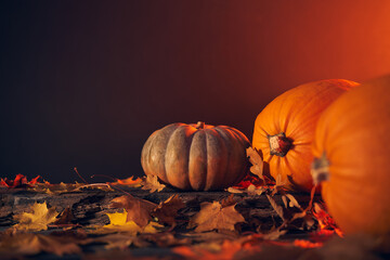 Pumpkin and leaves still life. Orange fog. - obrazy, fototapety, plakaty