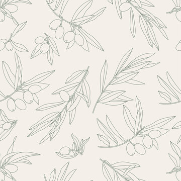 Vector illustration olive branch - vintage linear style. Seamless pattern in retro botanical style.