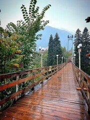 view of the wooden bridge over the river, rainy autumn weather in the mountains