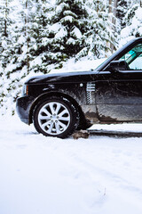 suv car in snowed forest