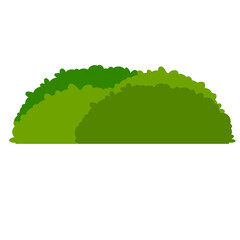 Green hedges bushes. Element of garden. Small plant with leaves. Rural and forest environment. Part of background. Cartoon flat illustration